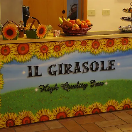 Il Girasole High Quality